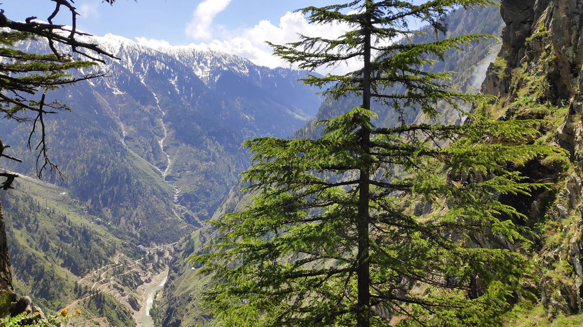 Kishtwar National Park - History, Location, Details, Ticket Price ...